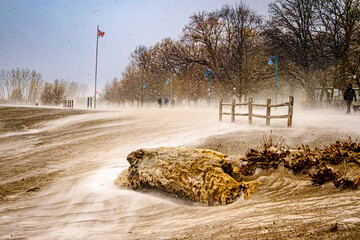 A weathered log lies on the sand at Kew Beach in Toronto, surrounded by intense drifting snow driven by strong winds near a wooden fence during winter.