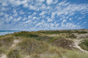 Normandy in France, the dunes de Hatainville, beautiful landscape near the sea
