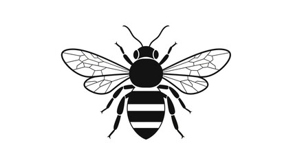 Obraz premium Stylized black and white illustration of a bee on a white background