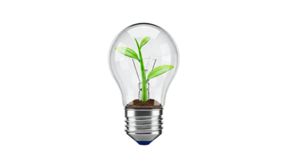 Lightbulb with sprouting plant inside