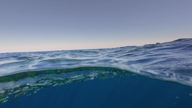 Half underwater view in Red Sea showing water surface and shallow reef below, clear blue sky and distant tropical beach with palm trees above water, strong split level effec