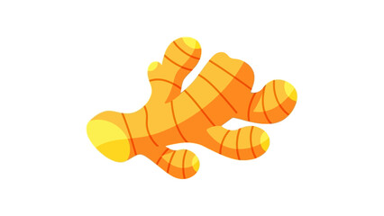 Fresh Turmeric Roots on White Background.