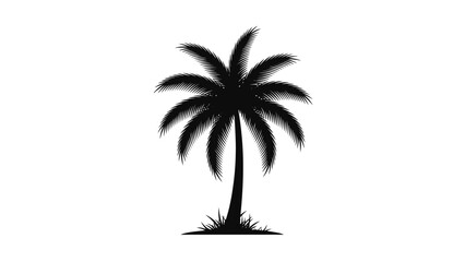 Silhouette of a palm tree on a white background, vector illustration.