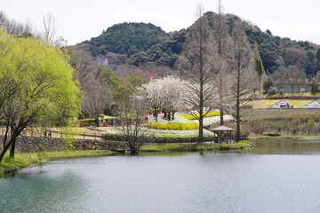 春のぎふワールドローズガーデン