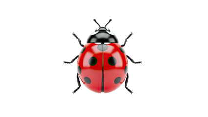 Red Ladybug with Black Spots