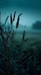 Fototapeta premium Mysterious Silhouettes of Tall Grass Blades Reaching Toward the Foggy Horizon at Dusk in a Serene Environment