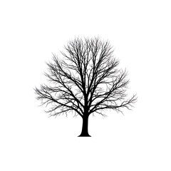 Obraz premium Flat black and white icon of a leafless tree silhouette