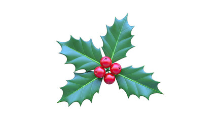 Holly with red berries