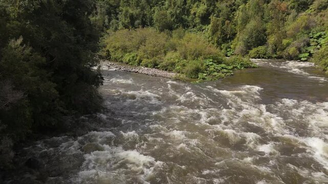 Fast Low Aerial Shot Through Trees Over Turbulent River