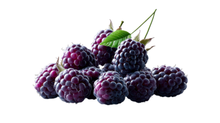 A delectable pile of fresh ripe blackberries with lush green leaves showcasing their natural beauty and perfect for healthy snack ideas and organic produce displays