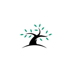 bonsai tree logo with flat vector design style