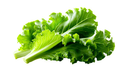 Fresh vibrant green leafy vegetables like collard greens or kale for healthy eating and organic cooking concepts for diet and nutritious recipes