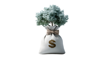 Conceptual image of a money bag with a dollar sign growing a thriving tree, representing sound financial investment, wealth creation, and longterm economic growth for various business