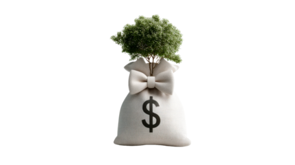 A textured money bag with a bold dollar sign and a flourishing green tree growing, representing financial growth, successful investments, economic prosperity, and sustainable wealth