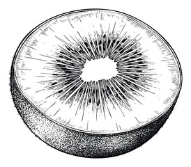 Sliced kiwi fruit cross section drawing for fresh produce advertising, healthy eating guides, fruit juice packaging, or exotic snack promotions