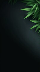 Lush green bamboo leaves creating striking natural pattern against deep black background.
