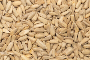 Shelled Raw Sunflower Kernels for Background. Top view