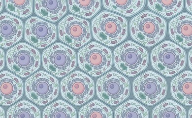 Illustration of the structure of biological cells in a repeating pattern