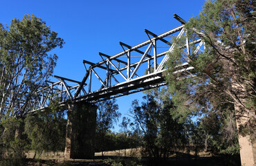 Railway bridge made of steel trusses supported by large concrete pillars stretching over tall trees