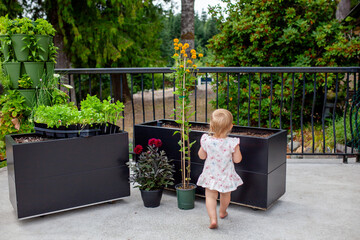 A young toddler girl helps to plant balcony planters with flowers and herbs. Children can learn and help tend to gardens from a young age, and benefit from gardening.