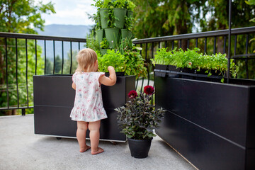 A young toddler girl helps to plant balcony planters with flowers and herbs. Children can learn and help tend to gardens from a young age, and benefit from gardening.