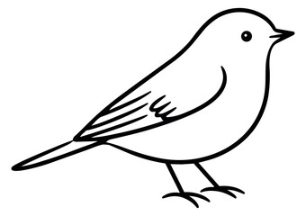 Fototapeta premium Simple hand drawn line art illustration of a small bird standing for nature and spring designs