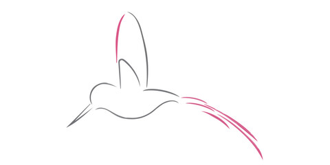 minimalism abstract modern logo design line art drawing vector bird fly animal wildlife  outline graphic design hummingbird sketch © Sofia Rohimah