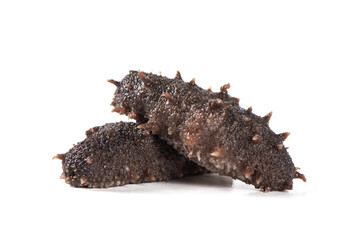 Raw sea cucumber trepang isolated on white background