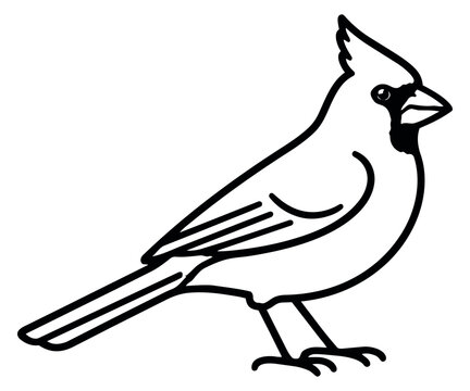 Line art illustration of a cardinal bird depicting a side profile for nature and wildlife designs