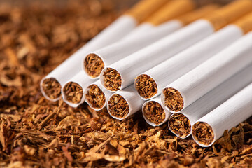 finely crushed tobacco leaves that is used in the manufacture of cigarettes