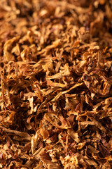 dried finely crushed tobacco leaves texture background.