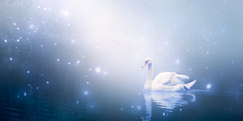 White Mute Swan swimming in lake, fantasy enchanted fairy tale landscape with beautiful elegant Cygnus olor bird, fairytale shining background with fireflies and moon ray, tranquil mysterious scene.