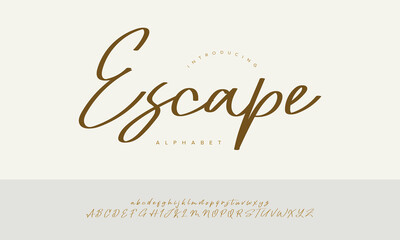 Escape Bold Hand Painted Brush Script Font Alphabet Vector For Adventure Poster Design