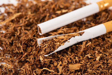 finely crushed tobacco leaves that is used in the manufacture of cigarettes