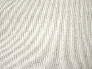 white canvas background