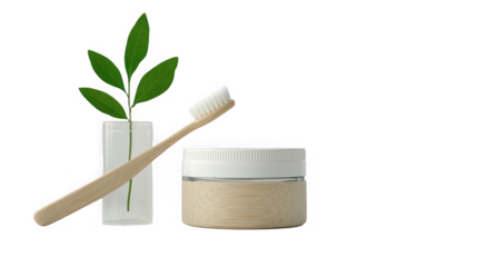 Natural bamboo toothbrush and eco friendly toothpaste in a jar resting next to a small glass vase holding a fresh green sprig of leaves representing organic care