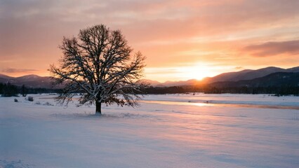 serene landscape nature tree in white winter snow at sunset with warm orange sky light