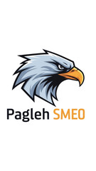 Obraz premium Logo featuring an illustrated blue eagle head with orange beak and bold typography in a modern graphic brand design.