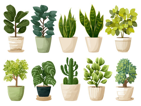 Cole&ccedil;&atilde;o de dez ilustra&ccedil;&otilde;es vetoriais de plantas de interior em vasos brancos e verdes com fundo transparente.