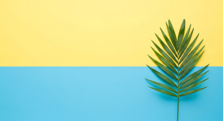 Minimalist Composition with a Green Palm Leaf on a Bright Yellow and Blue Two-Tone Background