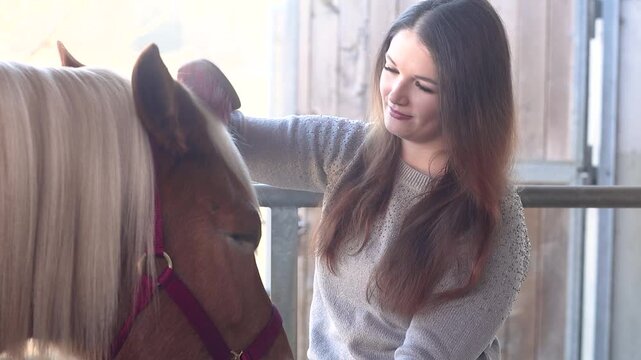 A young woman gently brushes the mane of her Haflinger mare at the grooming area, showing calm horse care, trust, and a quiet bonding moment during daily stable routine.