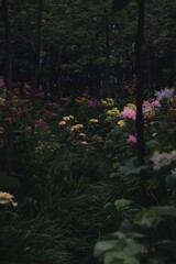 Enchanting Pathway Through a Lush Forest Filled with Vibrant Blossoms and Colorful Floral Arrangements in Nature's Embrace