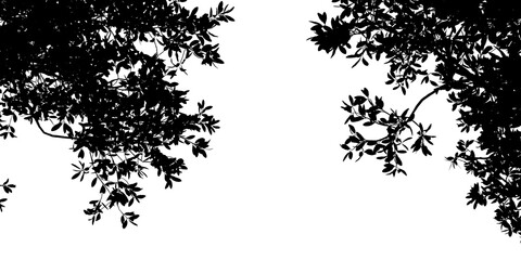 Tree Silhouette Against White Sky &ndash; Organic Contrast and Calm Framing for Nature-Inspired Design