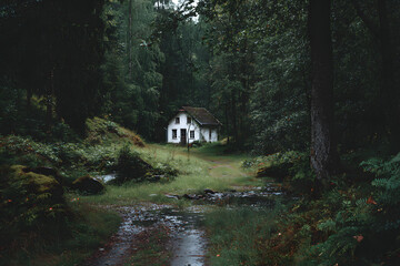 a small white house in the middle of a forest