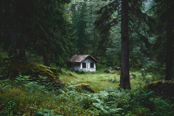 a small cabin in the middle of a forest