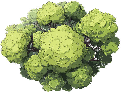 Vista aerea di un gruppo di alberi rigogliosi con chiome verdi su sfondo trasparente, illustrazione vettoriale.