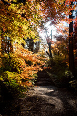 鎌倉251219　浄智寺1　紅葉･黄葉