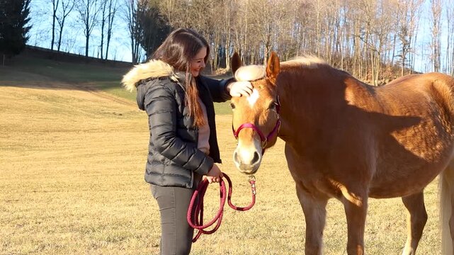 Heartwarming moment of a young woman smiling and praising her Haflinger mare, showing trust, joy and human horse bond