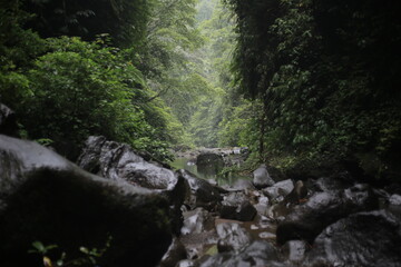 Soft light filtering through tree canopies in a canyon, falling on rocks that lead toward a lake and waterfall, calm natural atmosphere