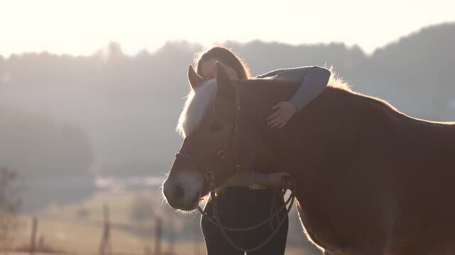Young woman gently cuddling and interacting with her Haflinger mare, showing trust, affection and calm horse human bond